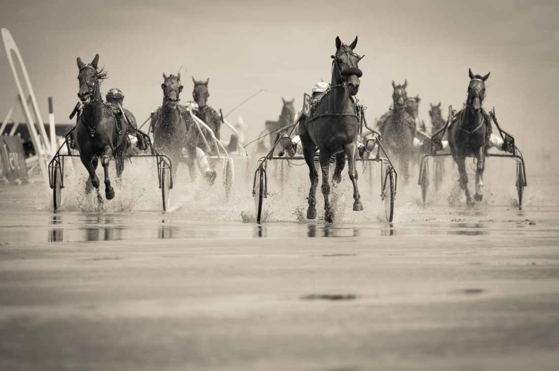 grayscale photo of group of horse with carriage running on body of water